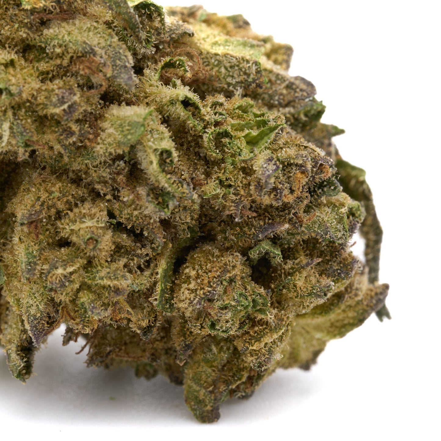 Lemon Cherry Gelato