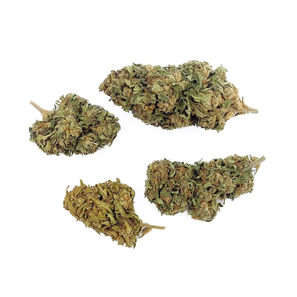 Lemon THP-X