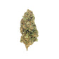 Lemon THP-X