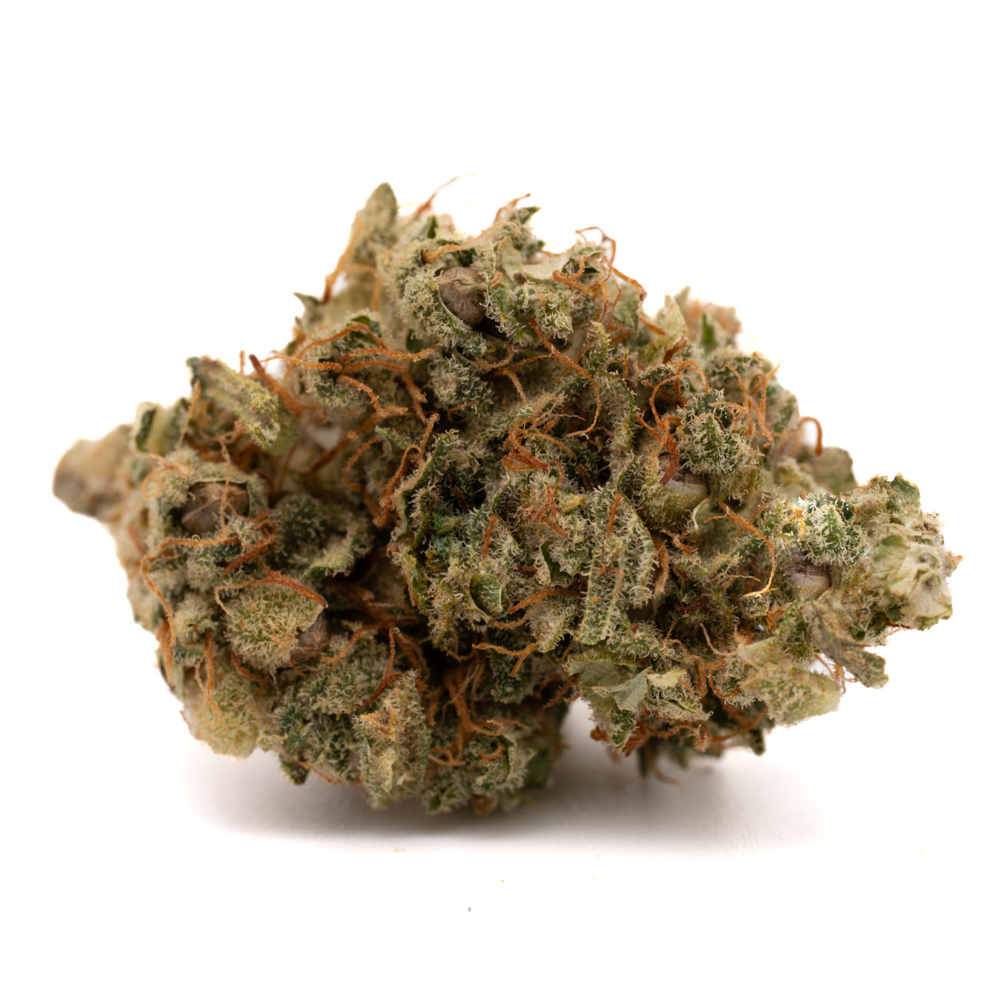 SHOUR SHERBET TH-X